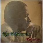 How To Name It? LP Vinyl Record By Ilaiyaraaja