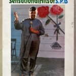 Sensational Hits Of S.P.B Tape Cassettes | 2 Tapes