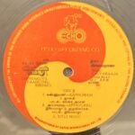 Chinna Kuyil Paaduthu Tamil LP Vinyl Records By Ilaiyaraaja
