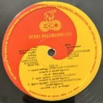 Yaaro Ezhuthiya Kavithai Tamil LP Vinyl Records By Anand Shankar