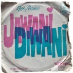 Jawani Diwani Hindi EP Vinyl Records By RD Burman